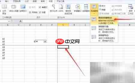 Excel窗口管理技巧  第4张