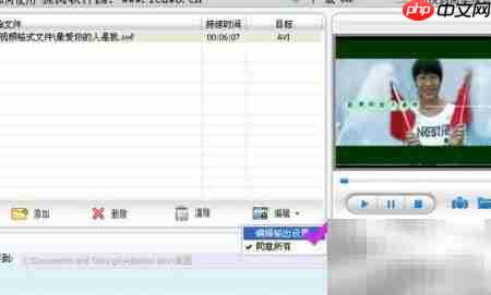 SWF转AVI方法指南  第2张