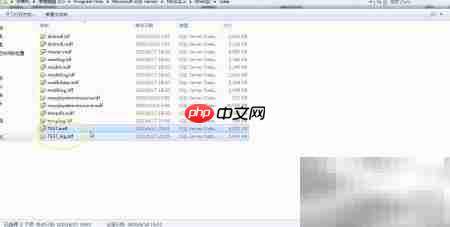 SqlServer数据库文件复制方法  第5张