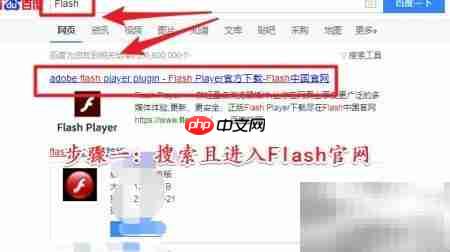 Flash下载方法指南