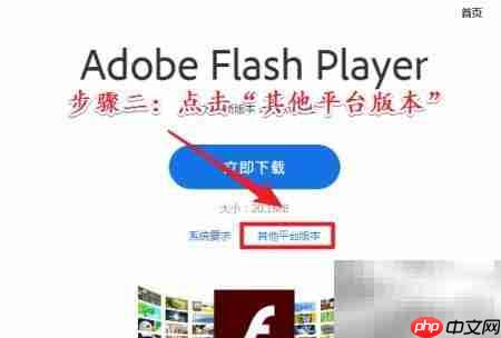 Flash下载方法指南  第2张