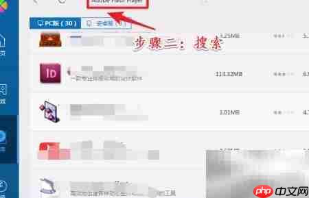 Flash下载方法指南  第5张