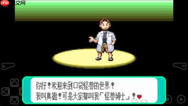 gba模拟器怎么导入游戏  第4张