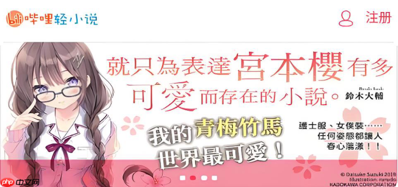 哔哩轻小说入口在哪_哔哩轻小说正确打开方式  第1张