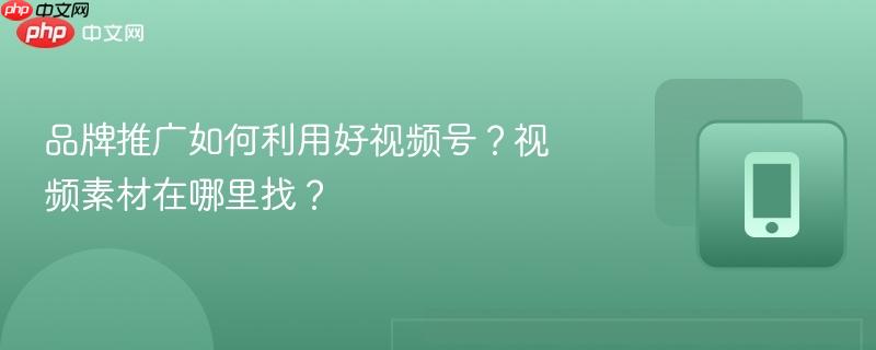 品牌推广如何利用好视频号？视频素材在哪里找？  第1张
