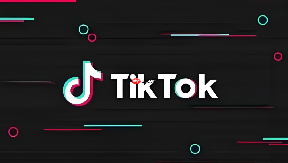 TikTok网页版账号入口教程 TikTok官方登录入口安全  第1张