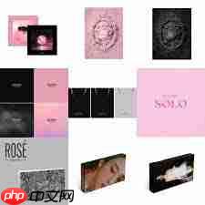 在哪能买到blackpink专辑  第1张