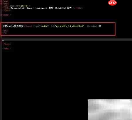 radio对象disabled属性用法解析  第2张