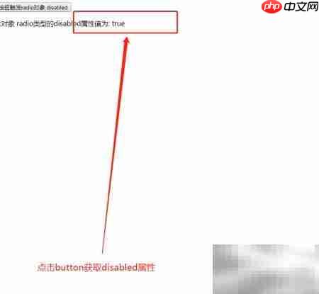 radio对象disabled属性用法解析  第5张