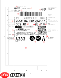 如何查询顺丰速运快递单号  第1张