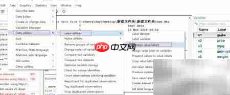 Stata变量标签映射设置  第2张