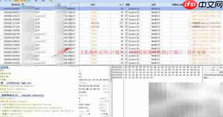手把手教你用科莱分析网络包  第4张