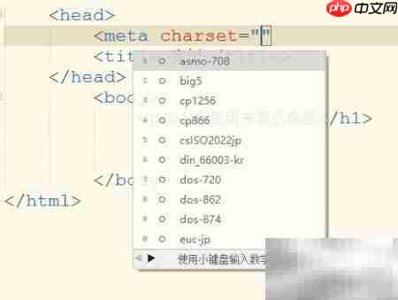 HTML编码设置与运行解析  第4张
