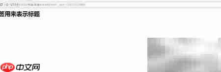 HTML编码设置与运行解析  第6张