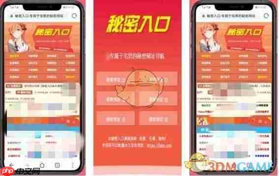 秘密入口属于男人的网站  第1张