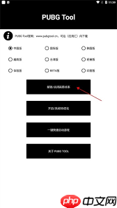 pubgtool支持哪些游戏版本