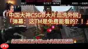 哪里可以免费看csgo大片