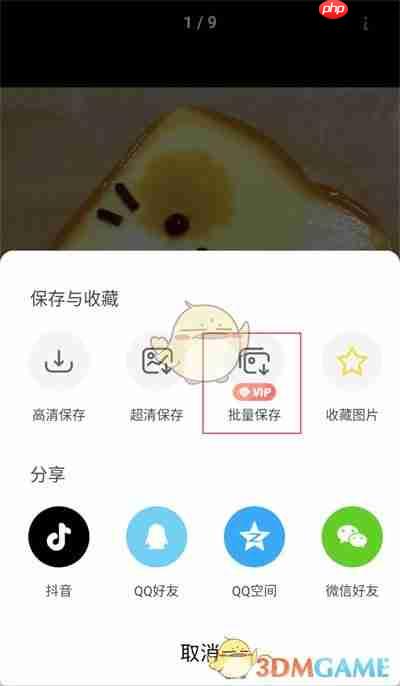 《堆糖》批量保存图片方法  第4张