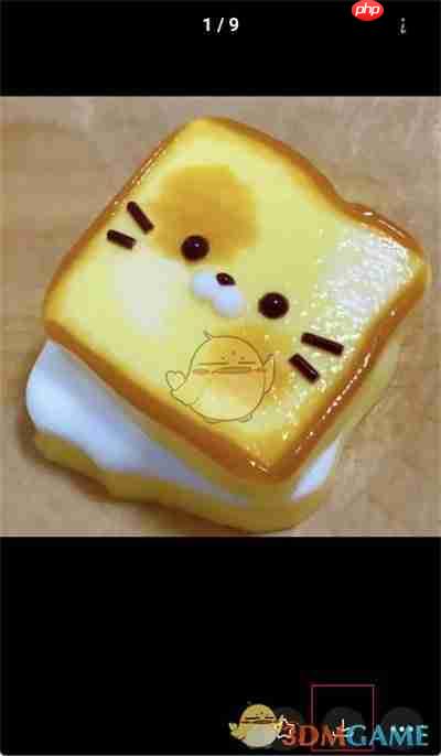 《堆糖》批量保存图片方法  第3张