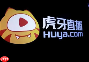 虎牙直播官网登录入口 虎牙直播怎么看回放  第1张