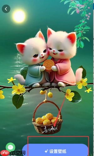 《灵动桌面壁纸》设置壁纸方法  第3张