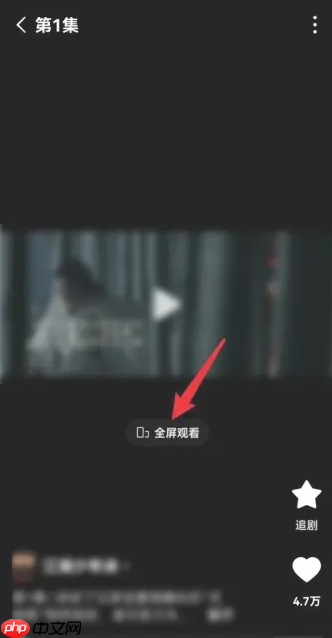 《红果免费短剧》全屏播放方法  第3张
