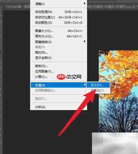 Photoshop变量可见性设置方法  第3张