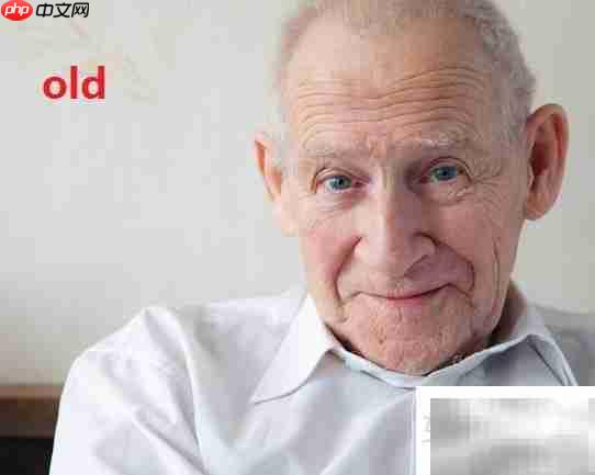 elder与old的区别解析  第1张