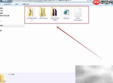 AE插件Video Library v4.2安装指南  第1张