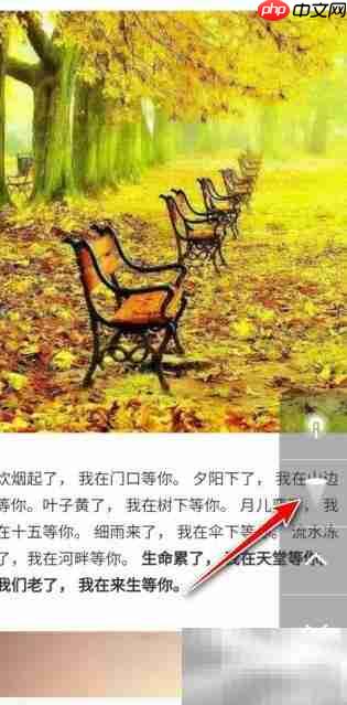 学习通投屏文档演示技巧  第5张