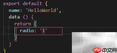 ElementUI Radio默认选中设置  第2张