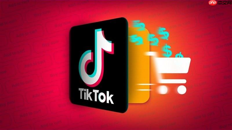 TikTok视频播放中断怎么办 TikTok播放异常优化技巧