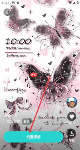 草莓壁纸app壁纸设置方法  第3张