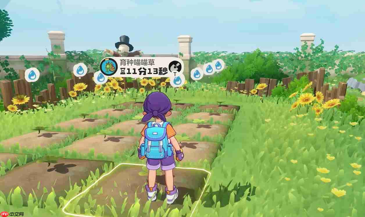 《洛克王国：世界》家园玩法介绍  第3张