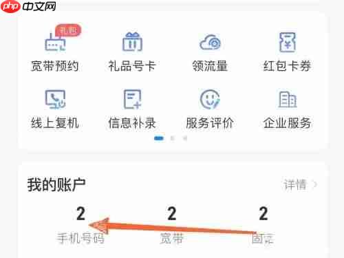 《中国电信》查看本人名下手机号码数量方法  第2张