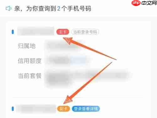 《中国电信》查看本人名下手机号码数量方法  第3张