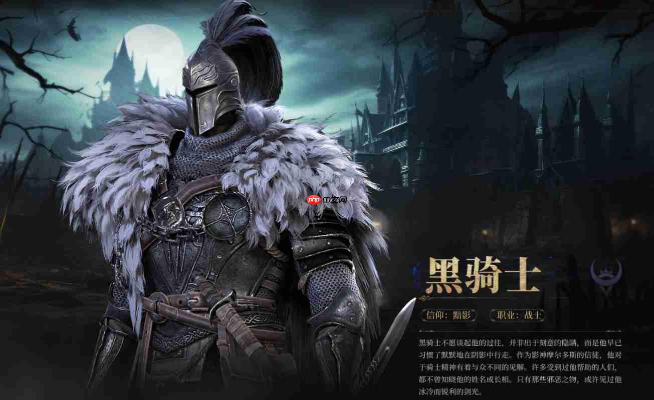 《地下城堡4：骑士与破碎编年史》角色介绍  第4张