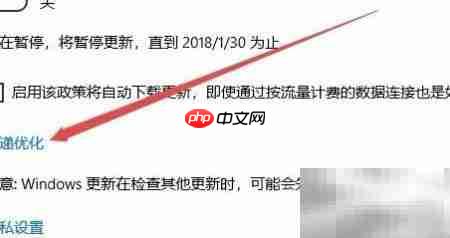 Win10关闭优化更新占网速  第5张