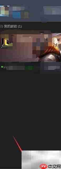 TGP游戏使用与自动更新指南  第4张