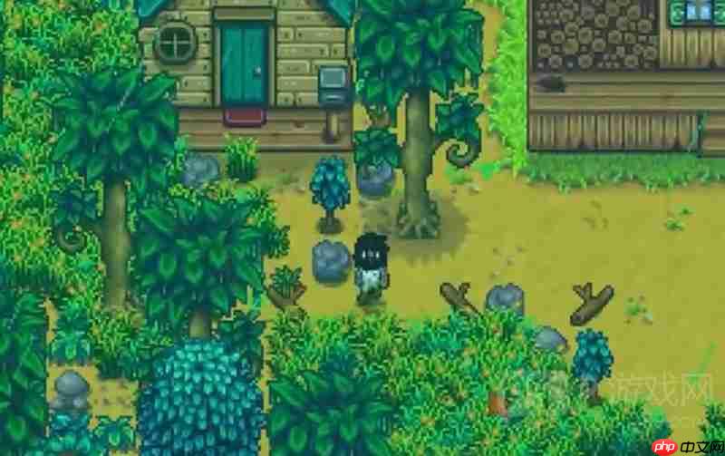 《星露谷物语》绿雨事件介绍  第2张