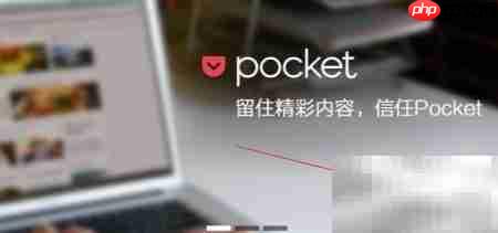 浏览器使用Pocket指南
