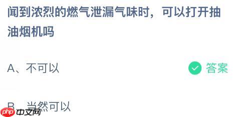 闻到浓烈的燃气泄漏气味时可以打开抽油烟机吗？蚂蚁庄园今日答案最新12.23  第2张