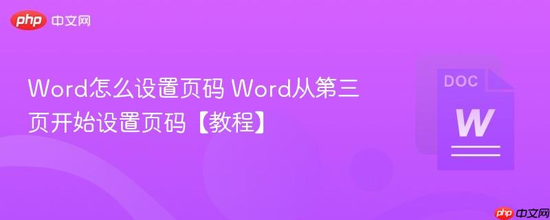Word怎么设置页码 Word从第三页开始设置页码【教程】  第1张