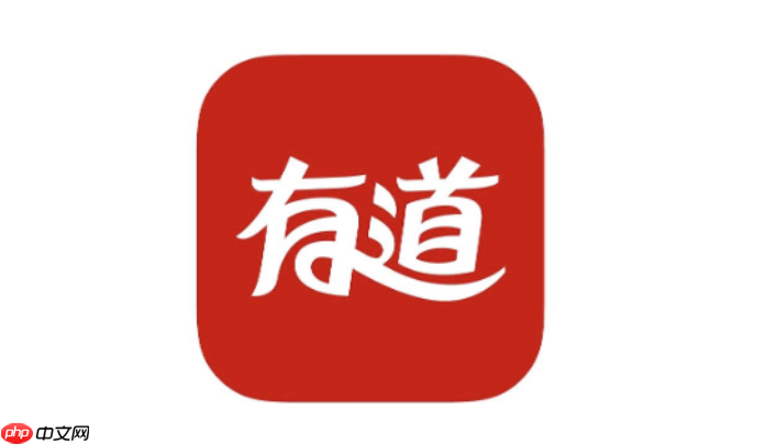 免费在线翻译入口 有道官方翻译网站入口  第1张