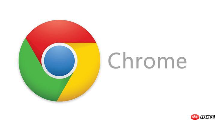chrome浏览器官方通道无需登录 chrome引擎快捷入口地址  第1张