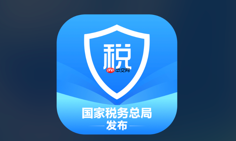 个人所得税在线申报入口 个人所得税网上办税大厅入口