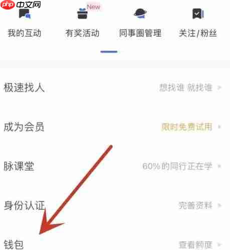脉脉怎么开通会员？-脉脉开通会员的方法  第2张