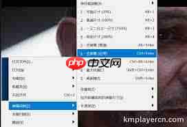 kmplayer plus怎么实现全屏