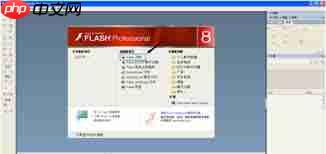 Macromedia Flash 8如何用方向键控制物品移动