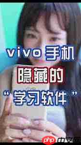 vivo如何隐藏软件不被发现